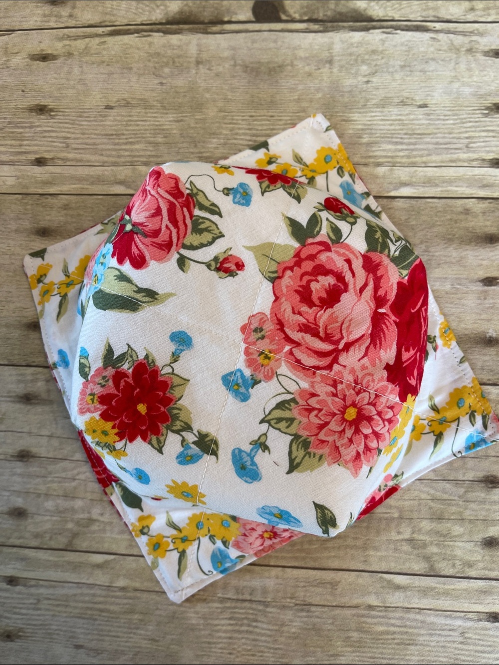 Microwave Bowl Cozy Pioneer Woman /W Red Gingham Reversible Fabric Bowl